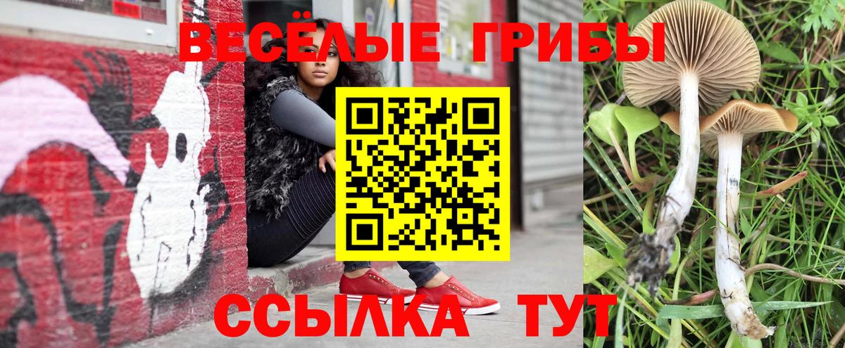 Псилоцибиновые грибы мухоморы Лысьва